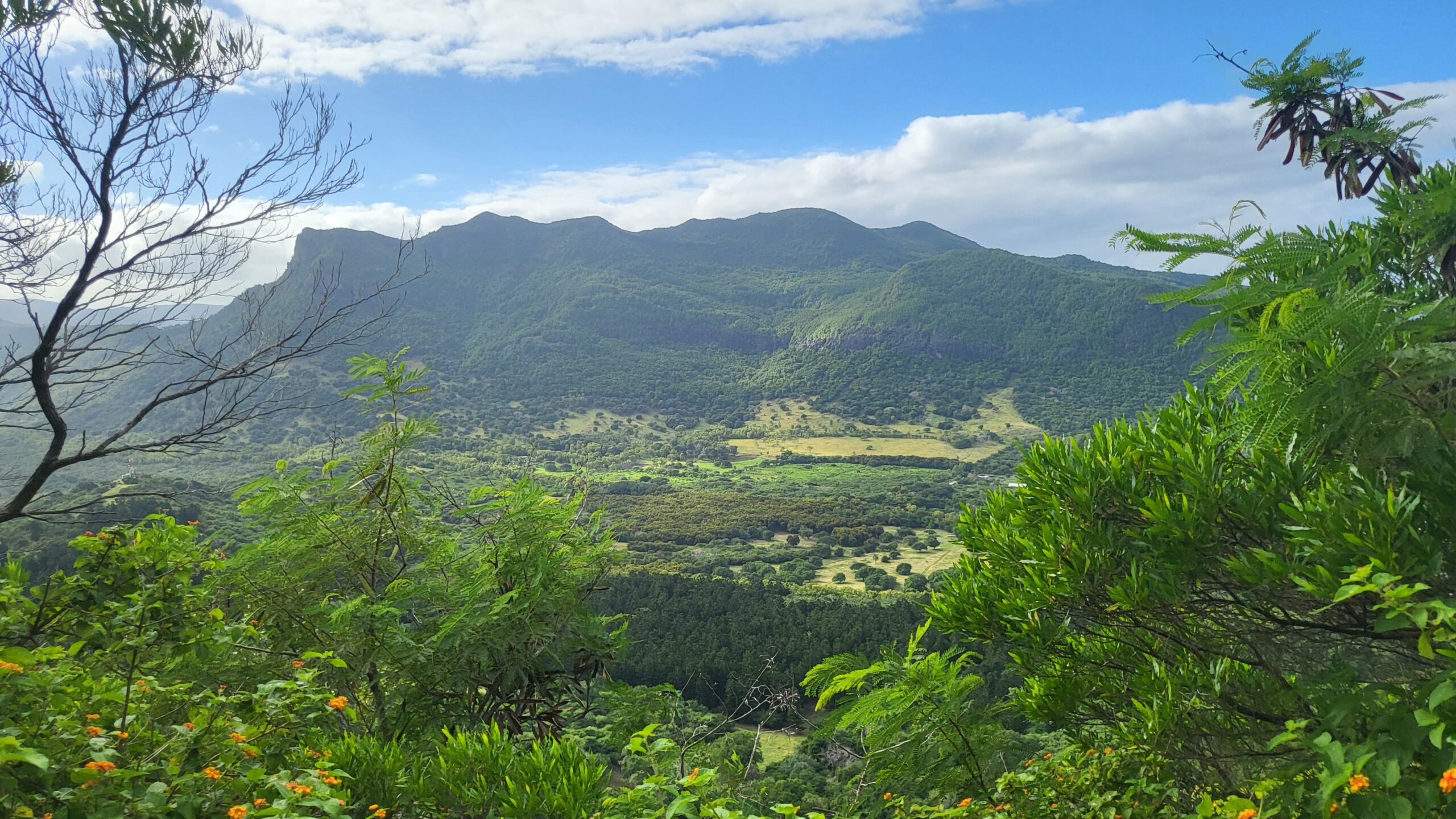 vue montagne du morne brabant