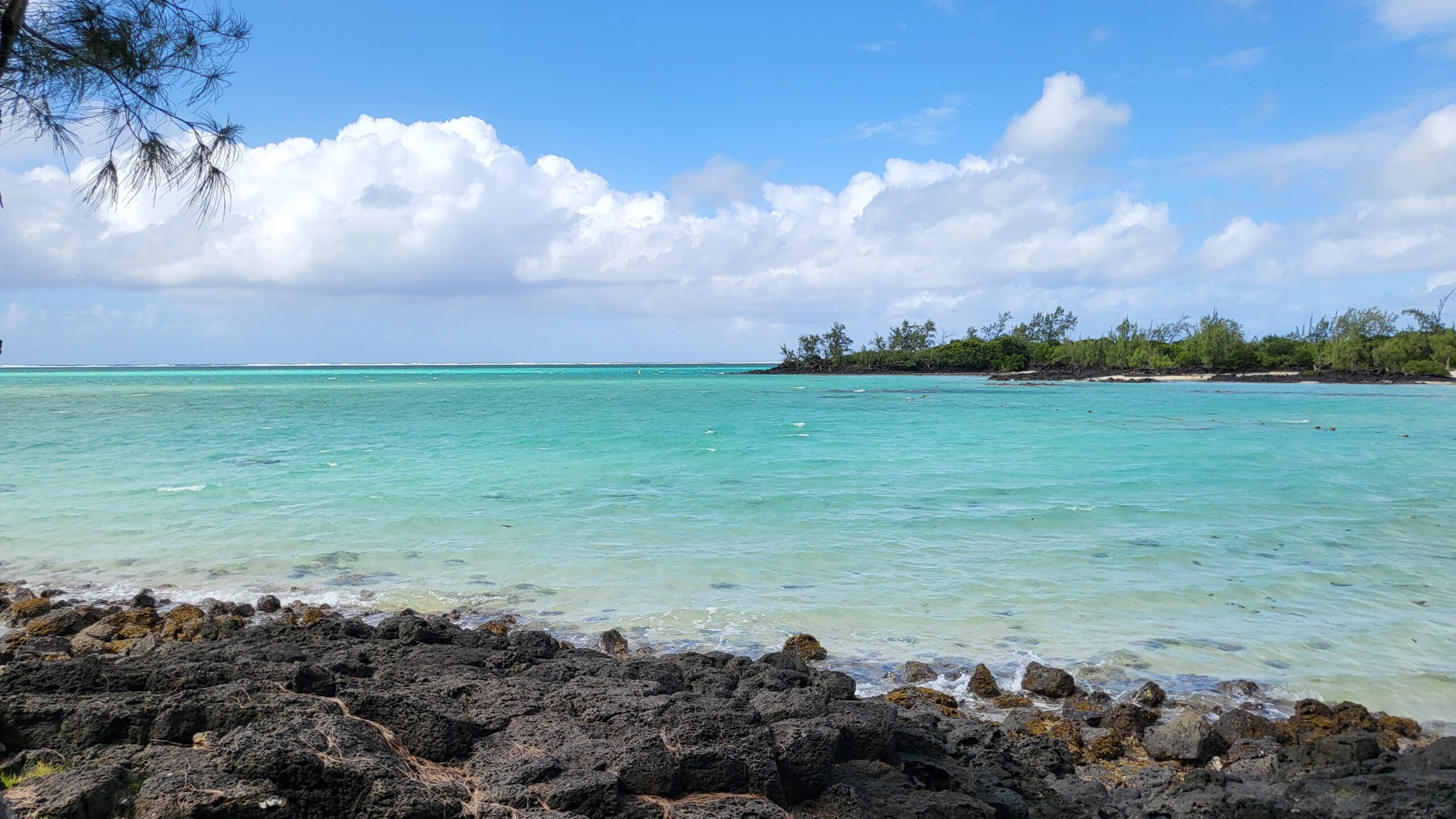ile aux cerfs