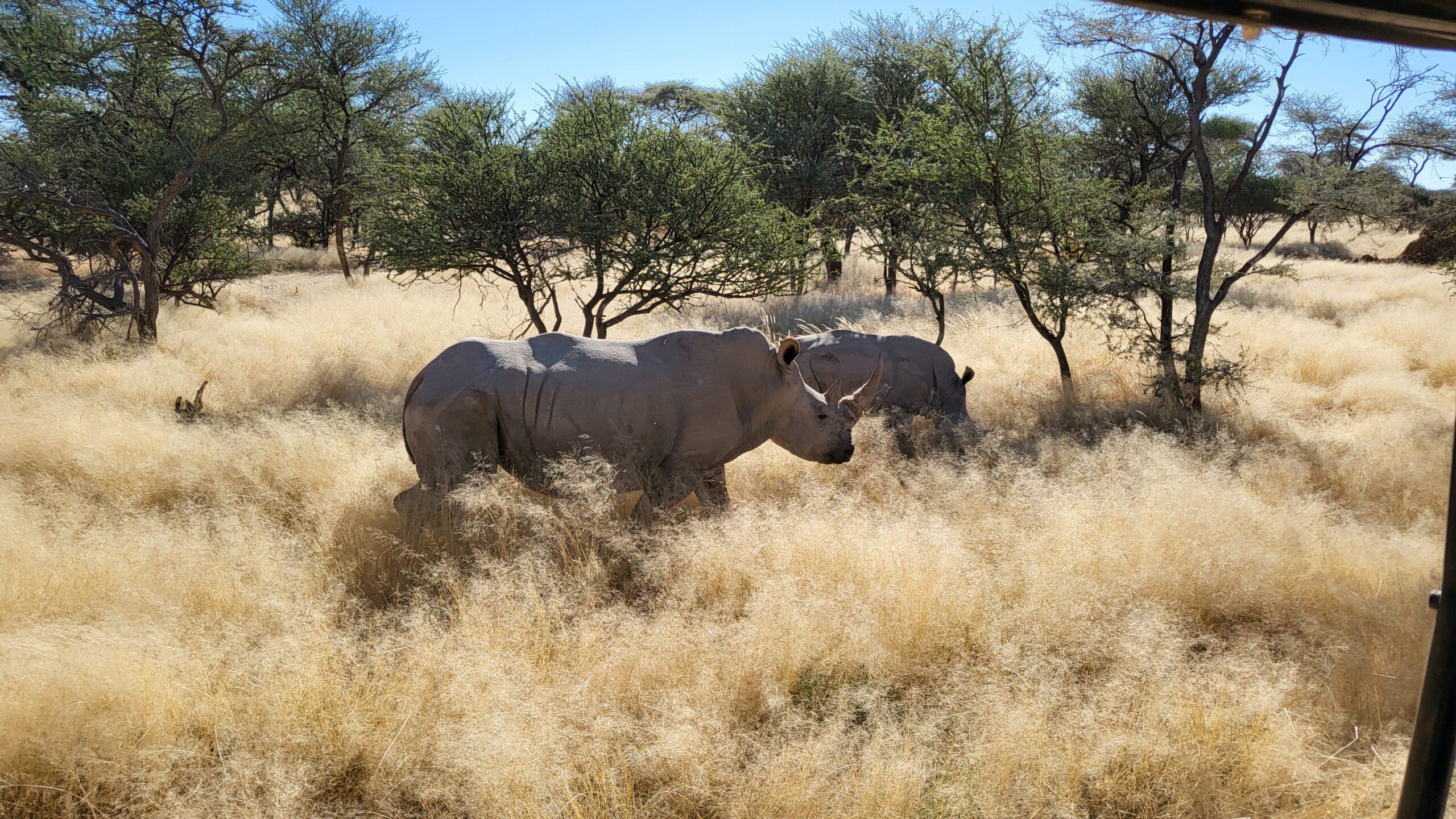 omaruru game lodge