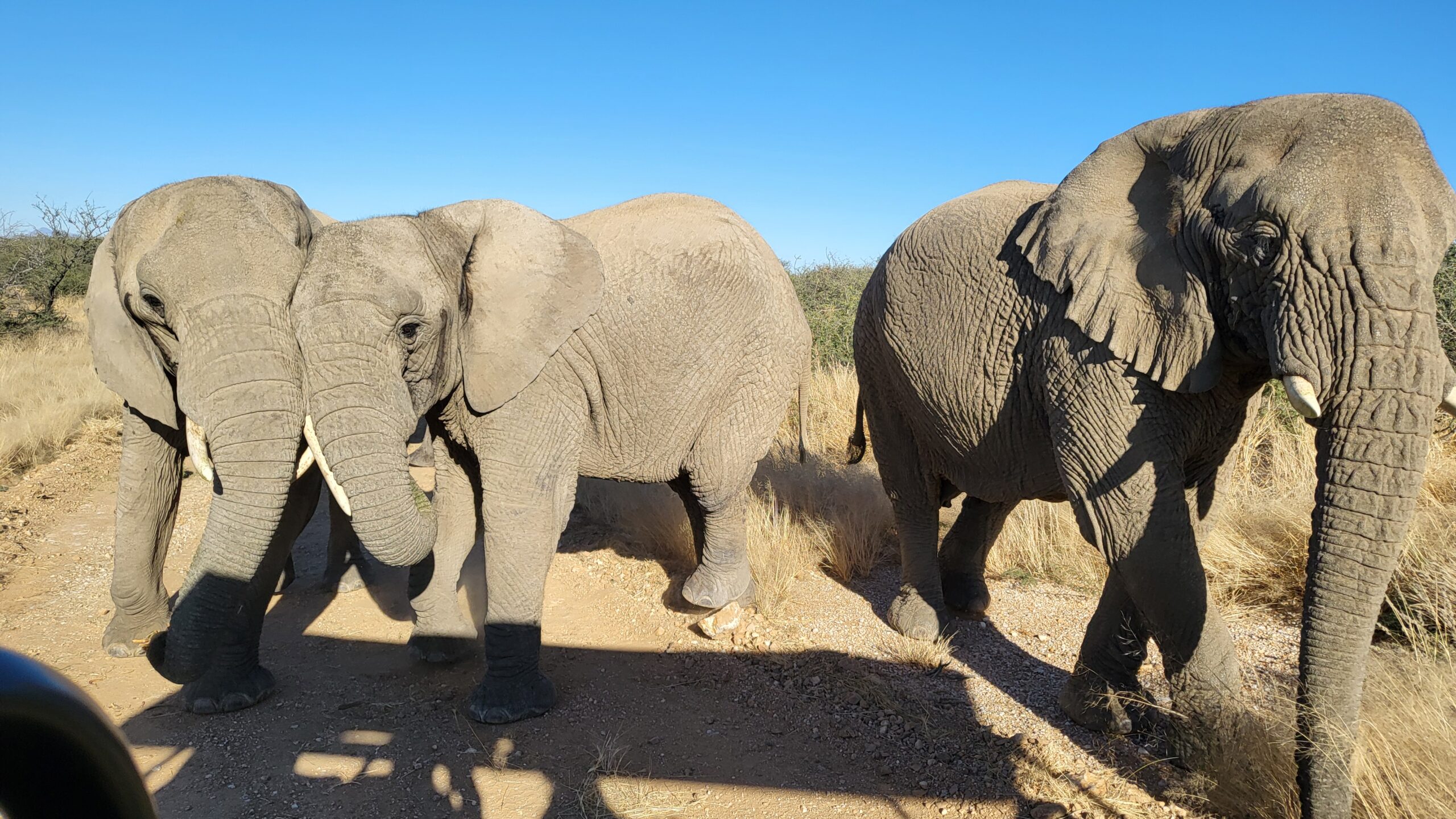 game lodge namibie
