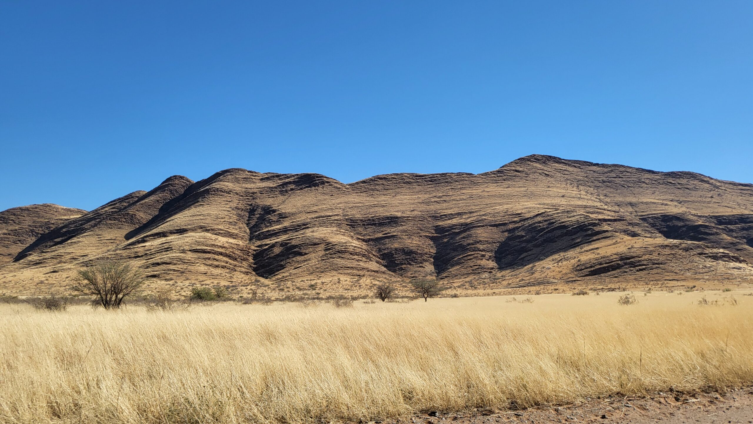 désert namibie