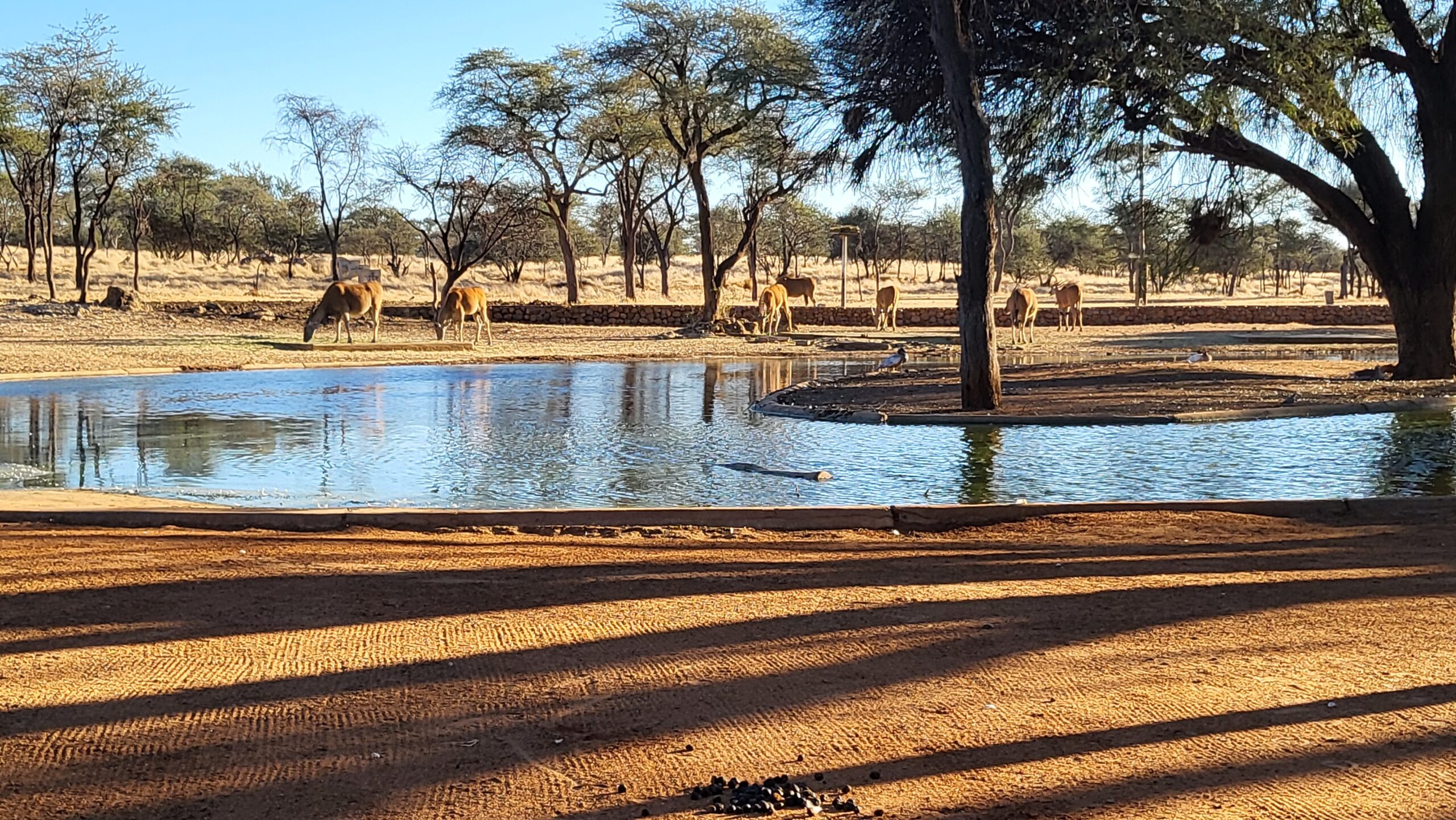 namibie