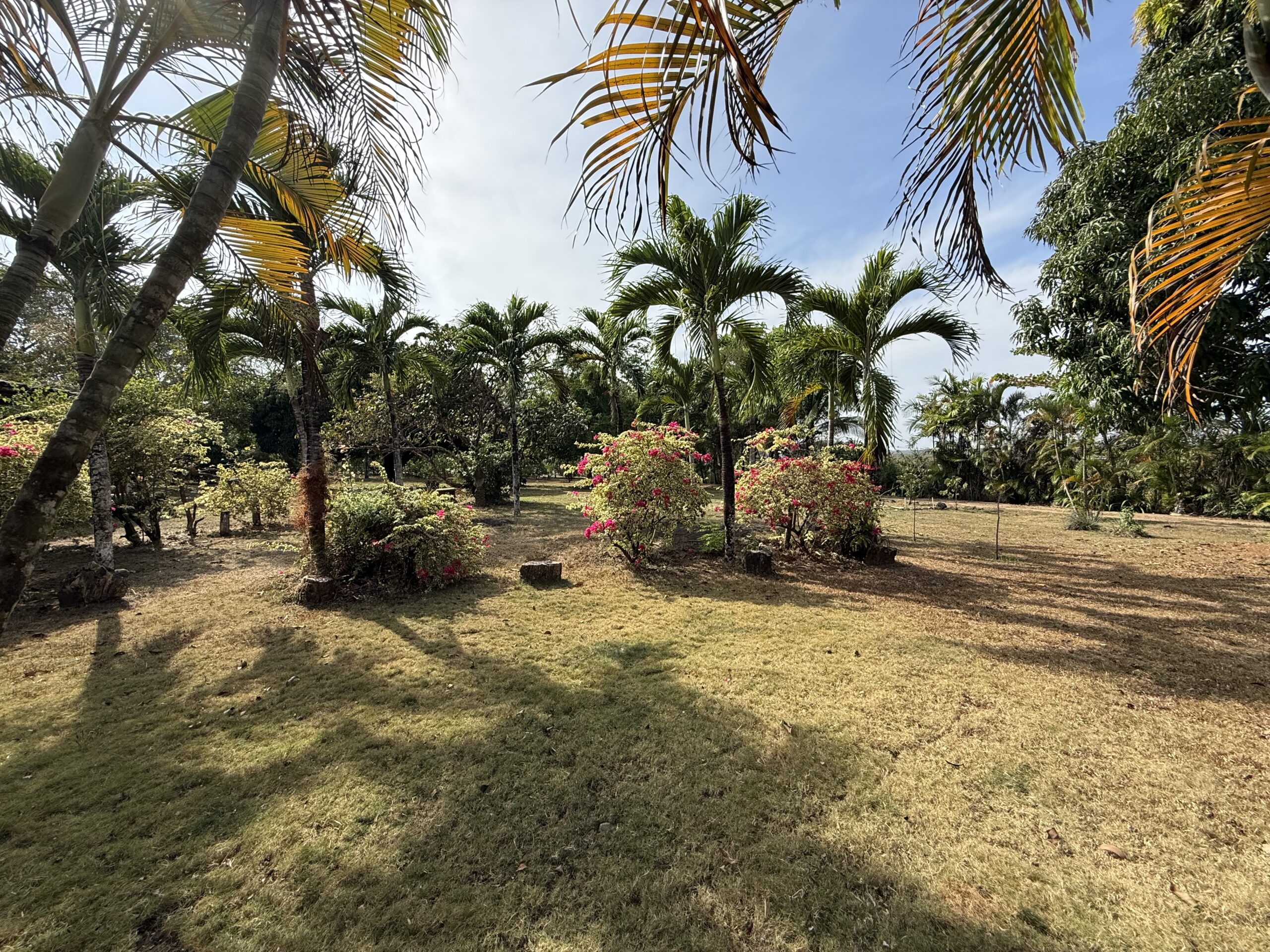 pedasi, panama