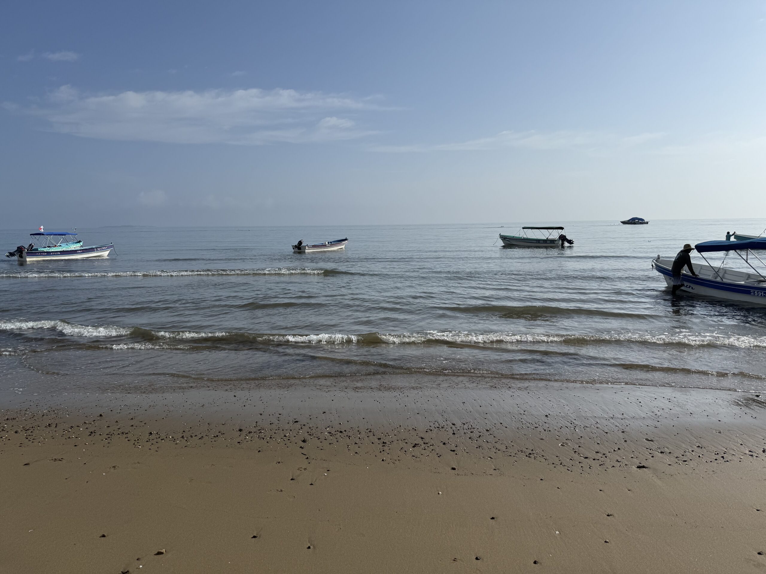 pedasi, panama