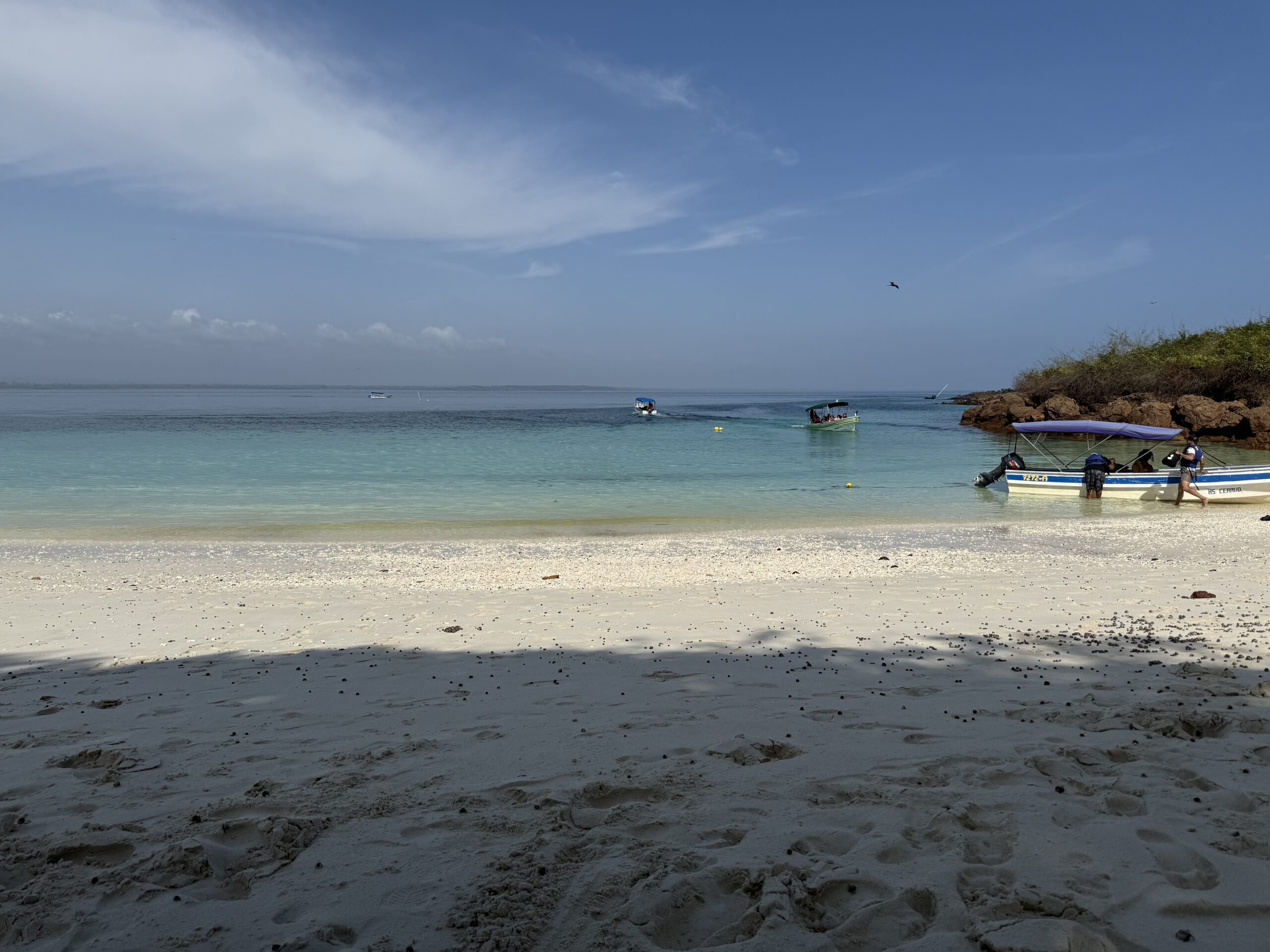 isla iguana, pedasi 