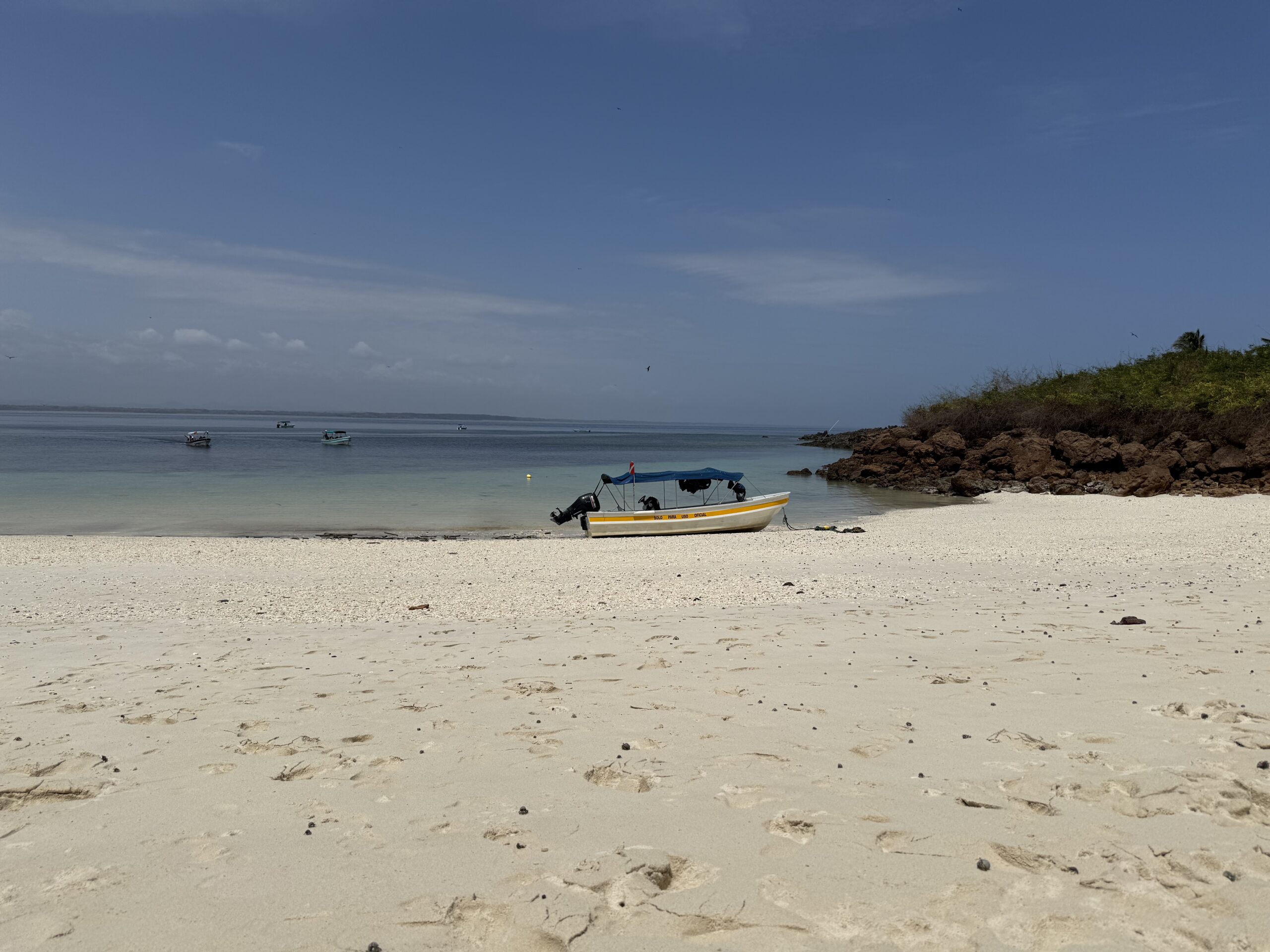 isla iguana