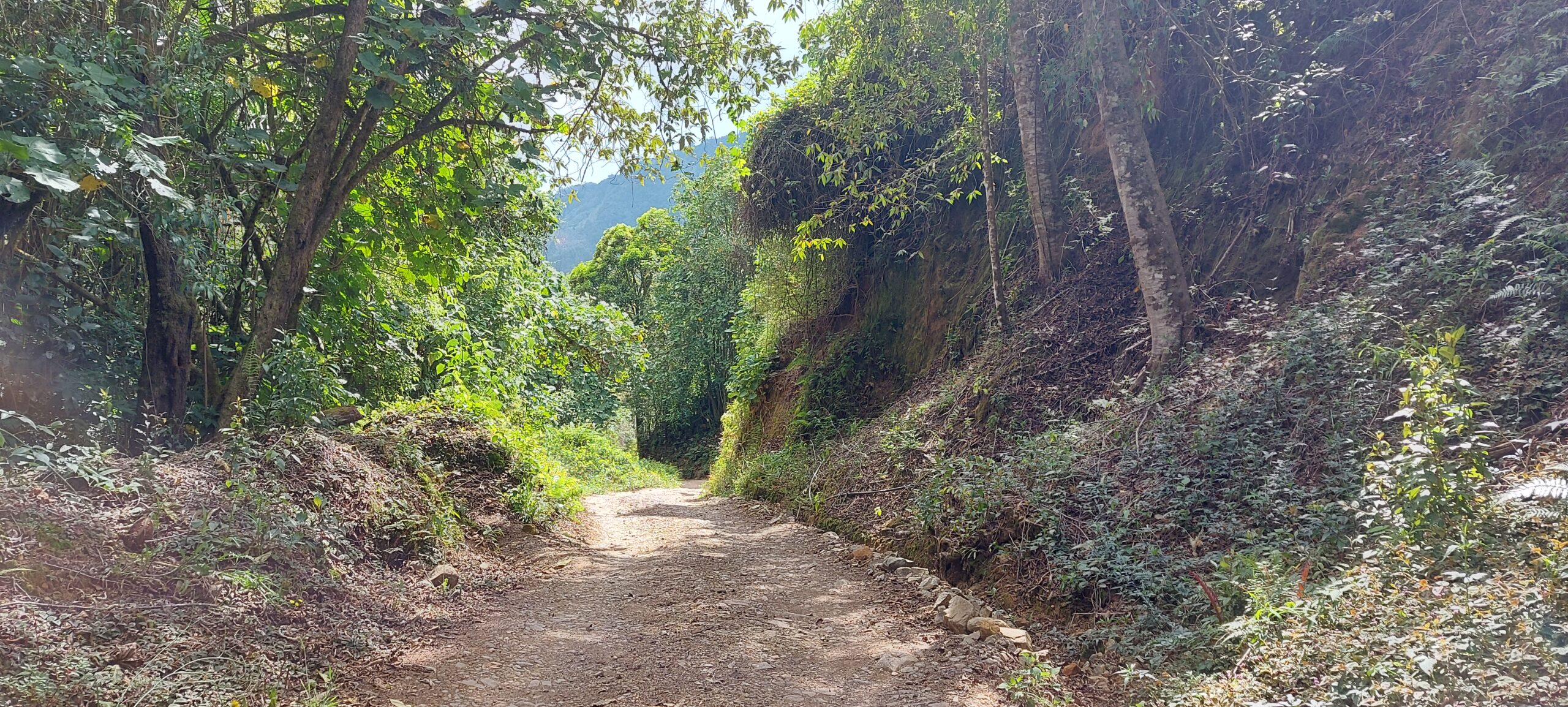 route san gerardo de dota