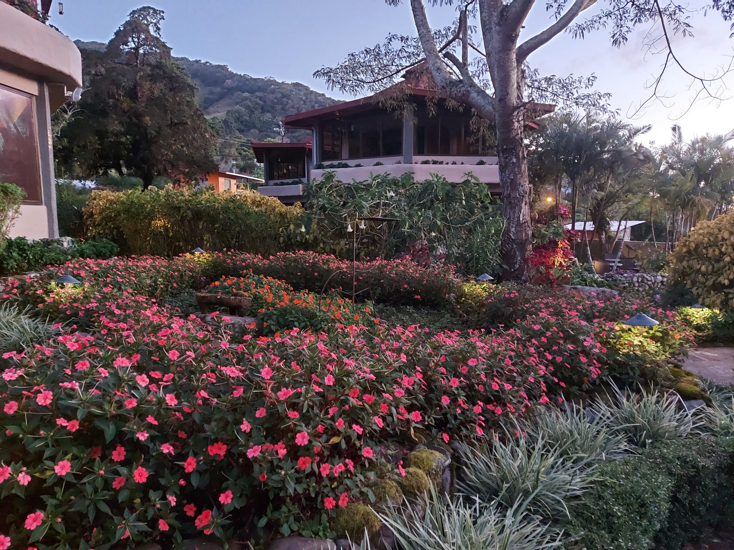 hotel the inn at palo alto, boquete