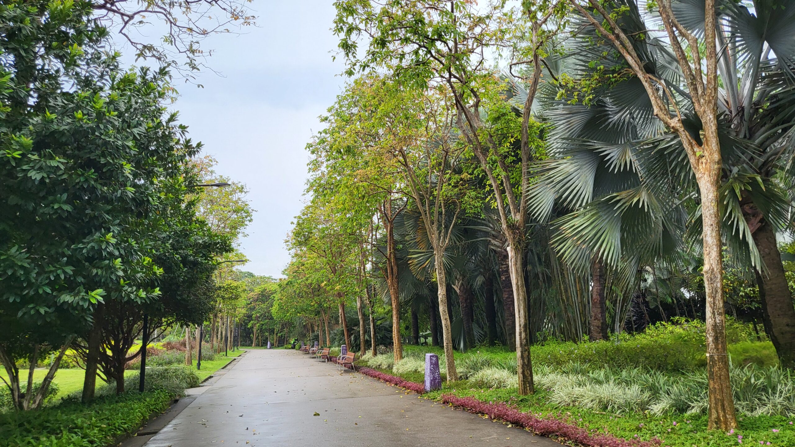 singapour