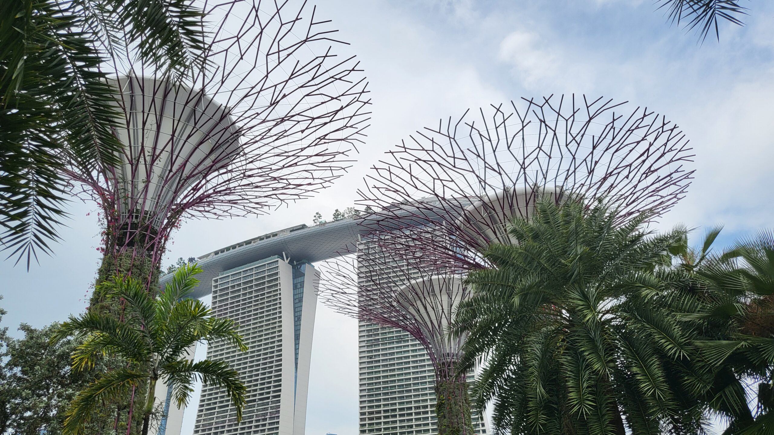 gardens by the bay
