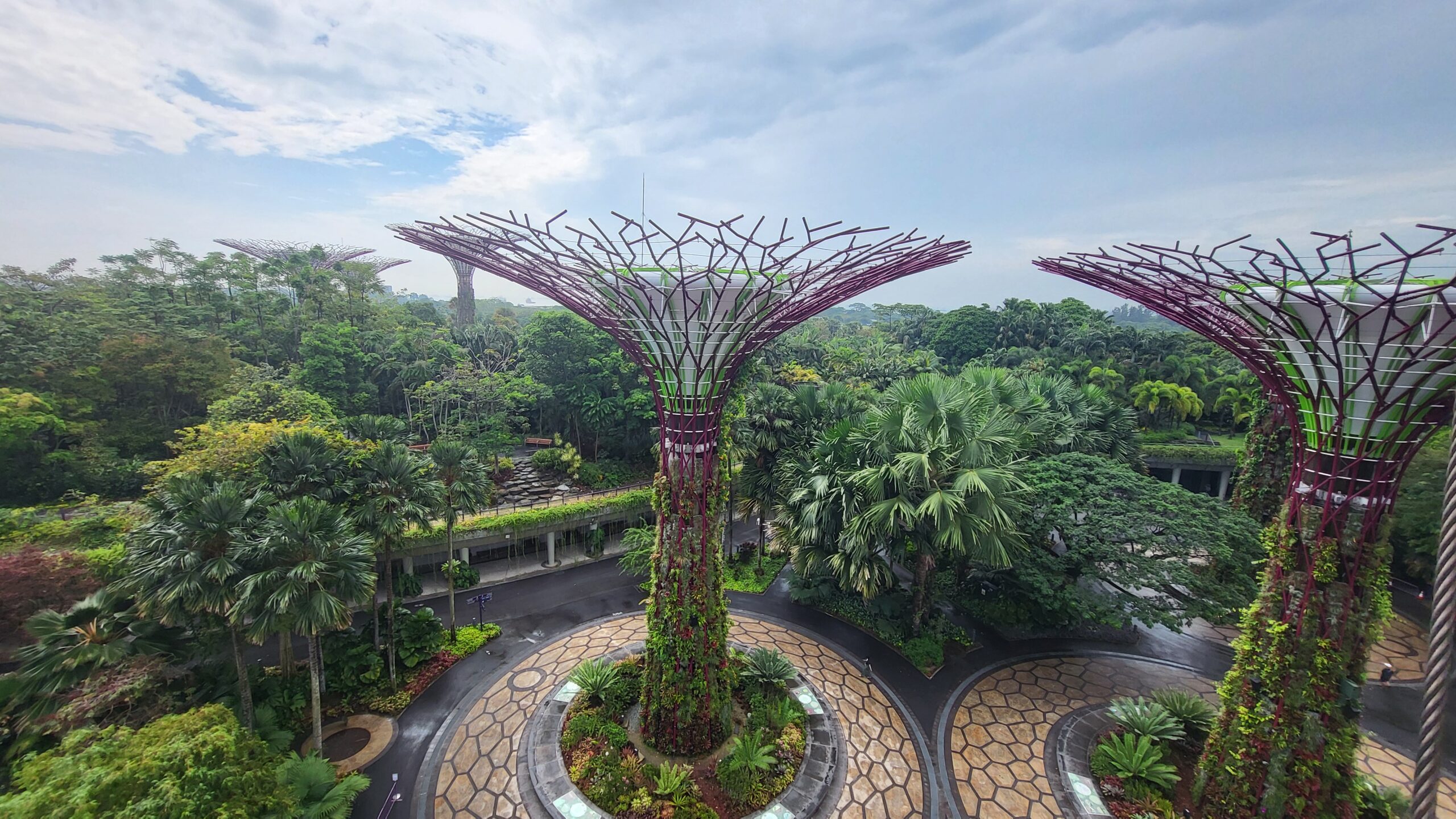 parc supertrees, singapore