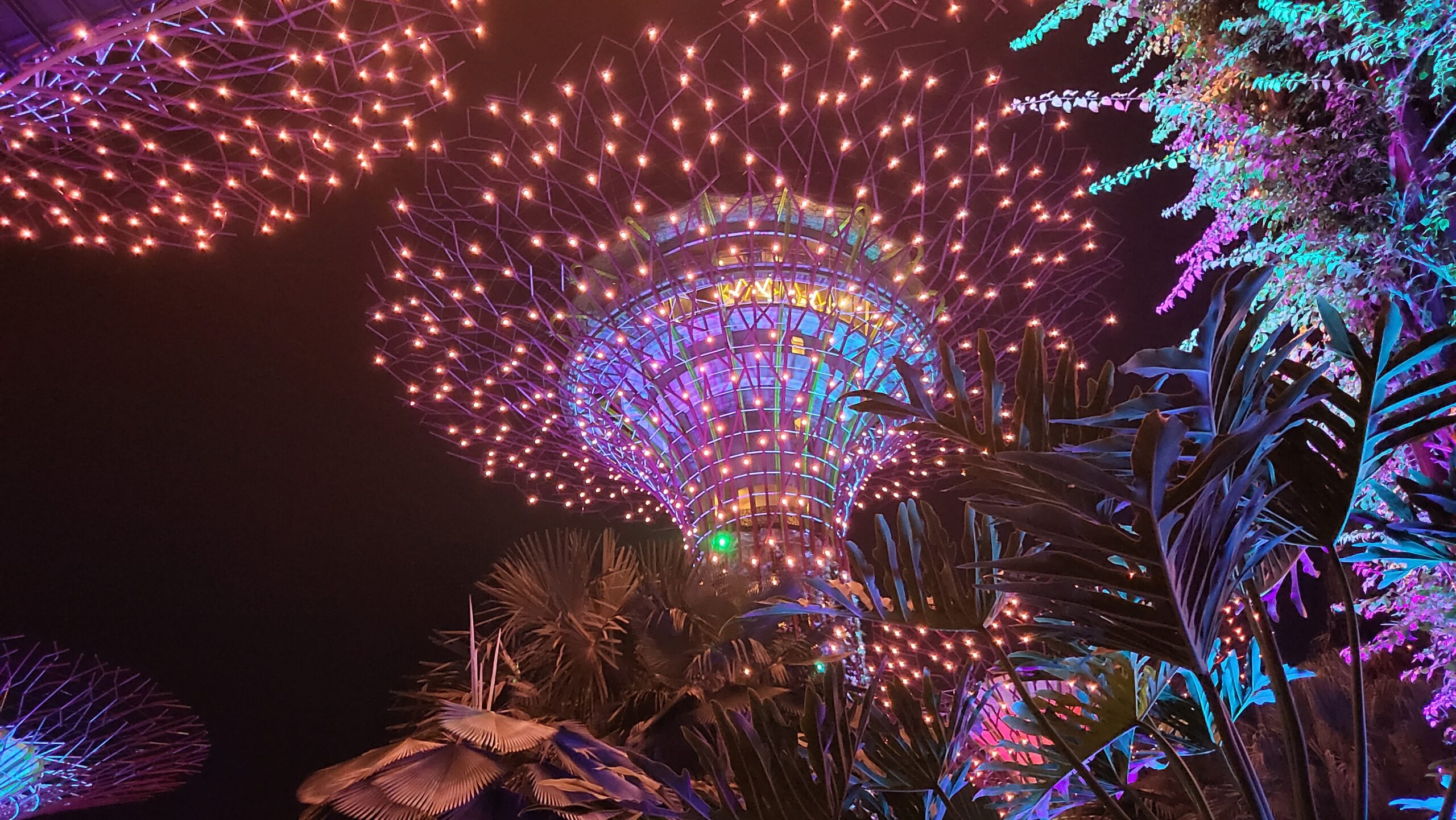 spectacle gardens by the bay