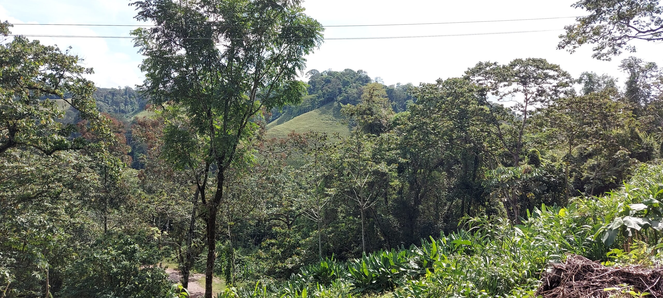 canope, costa rica