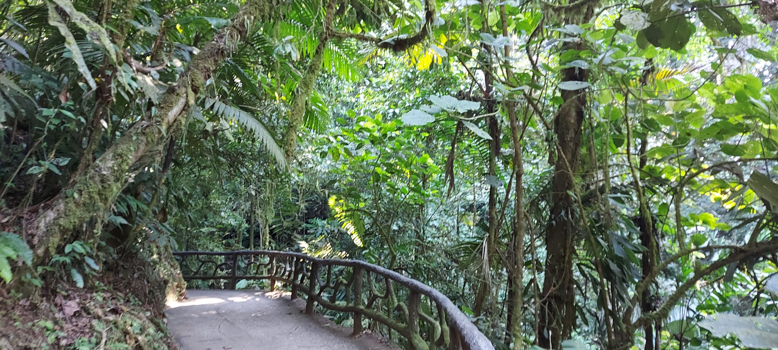 parc mystico, costa rica