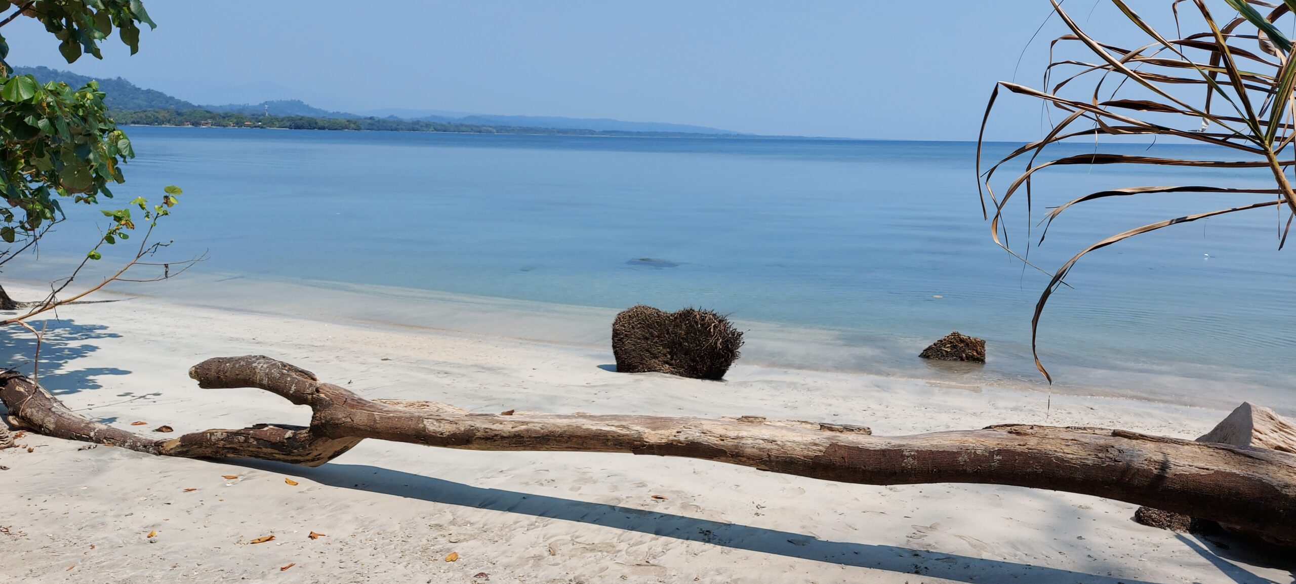 parc naturel cahuita