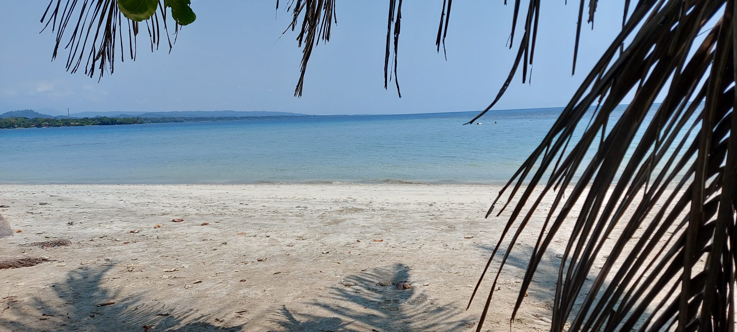 manzanillo, costa rica