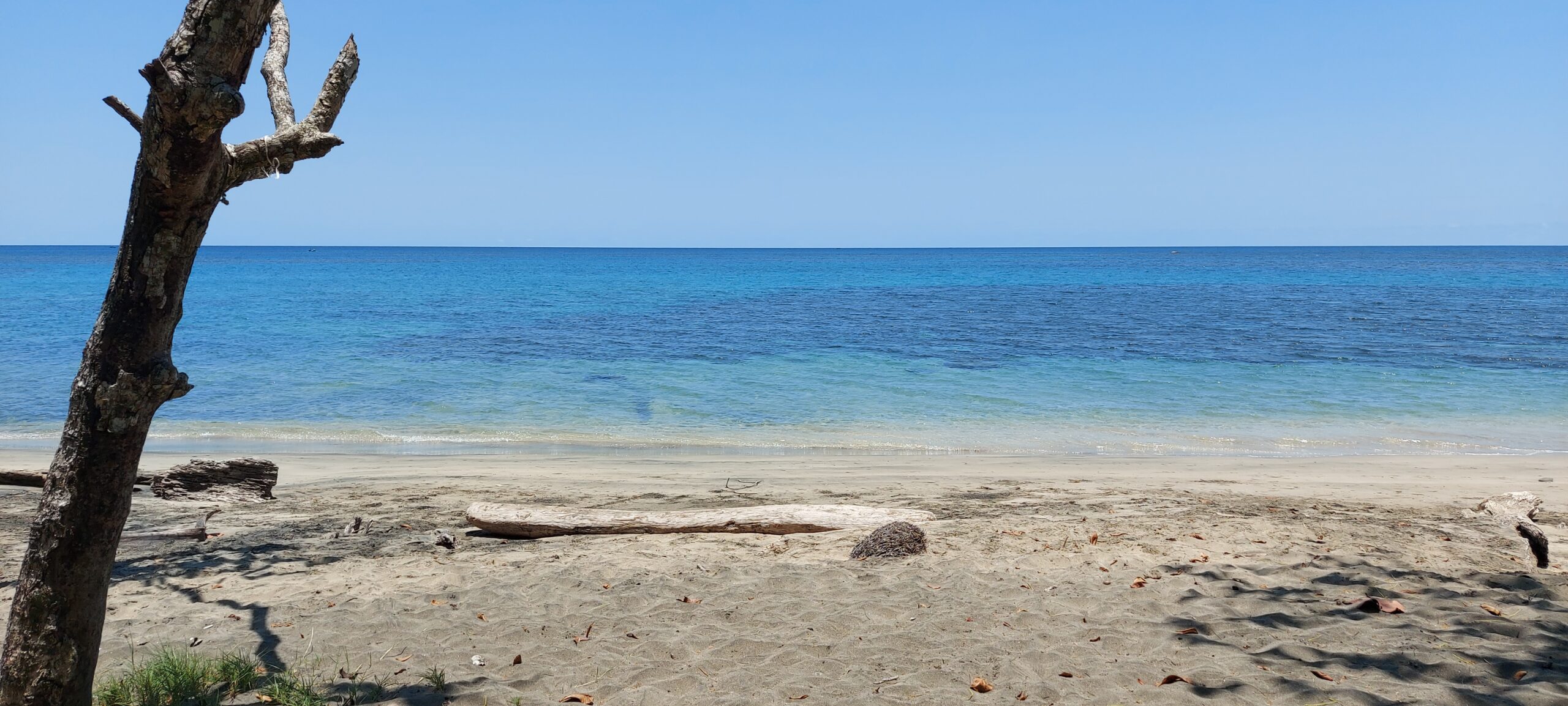playa manzanillo, cota rica