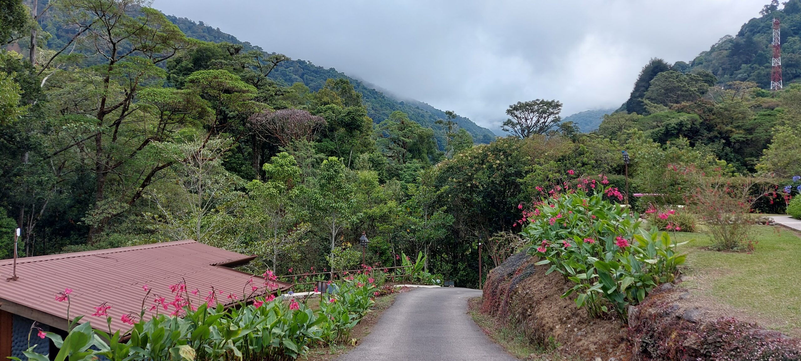 route vers san gerardo de dota