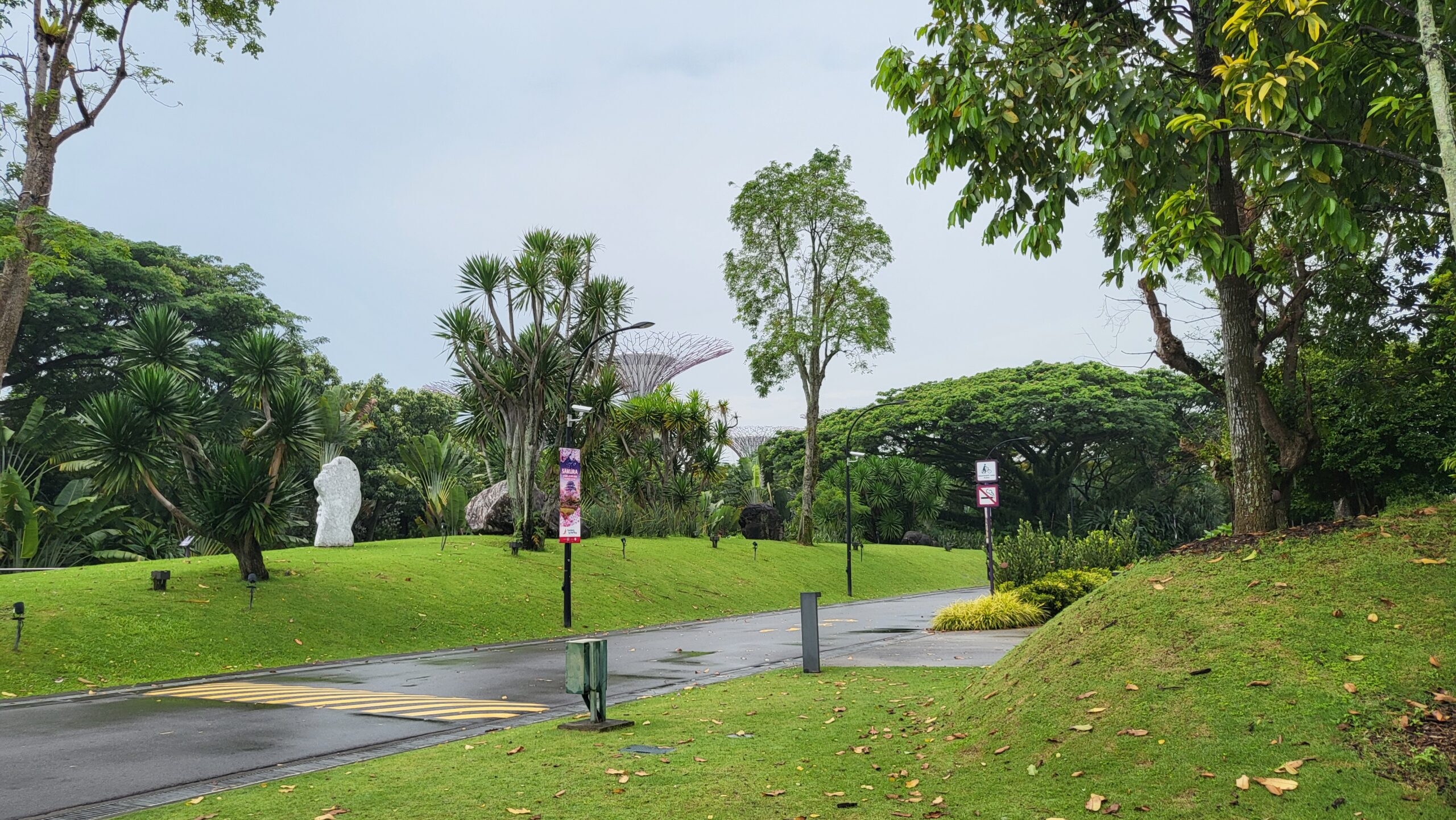 jardin, singapour