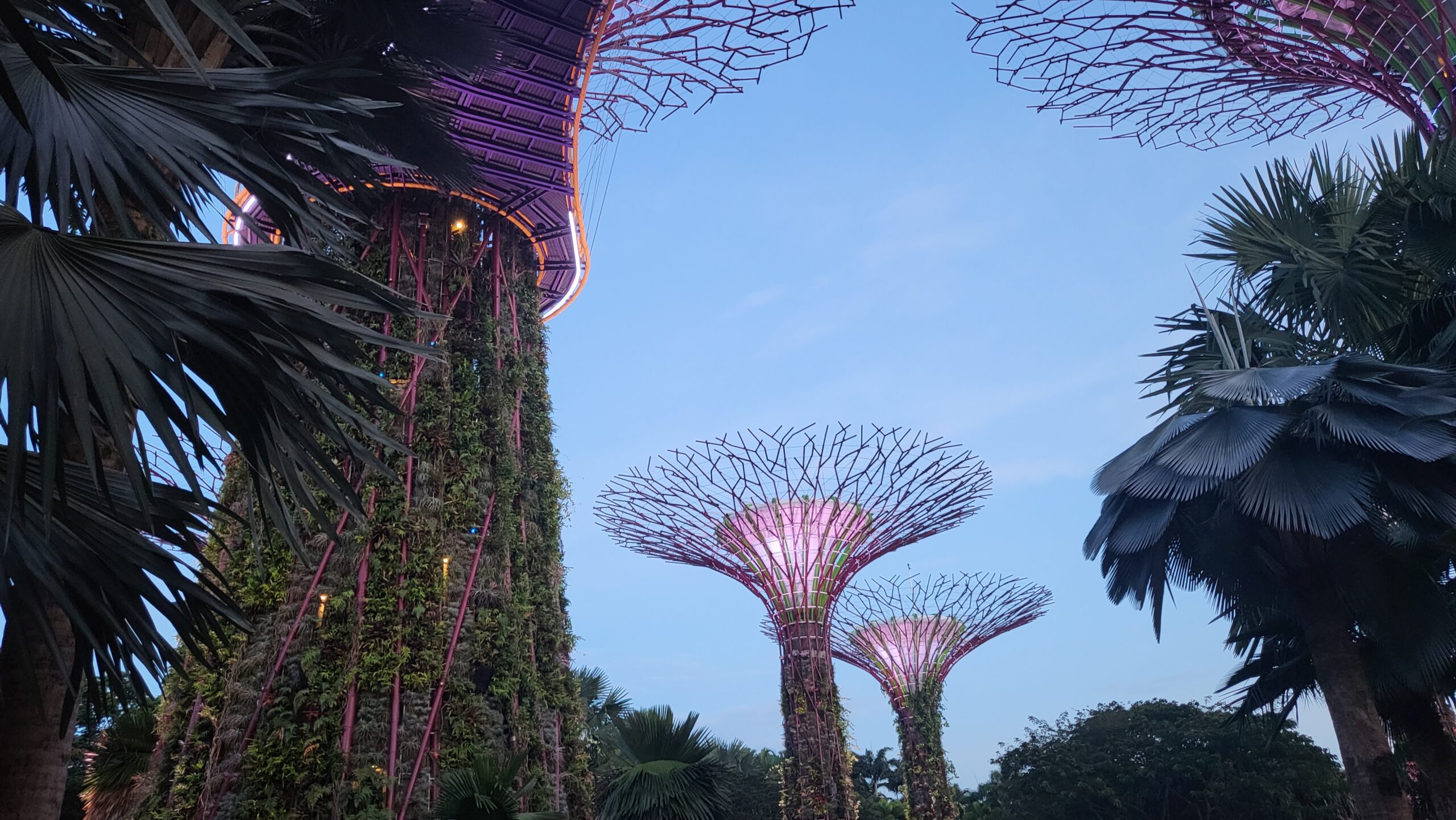 supertrees, singapour