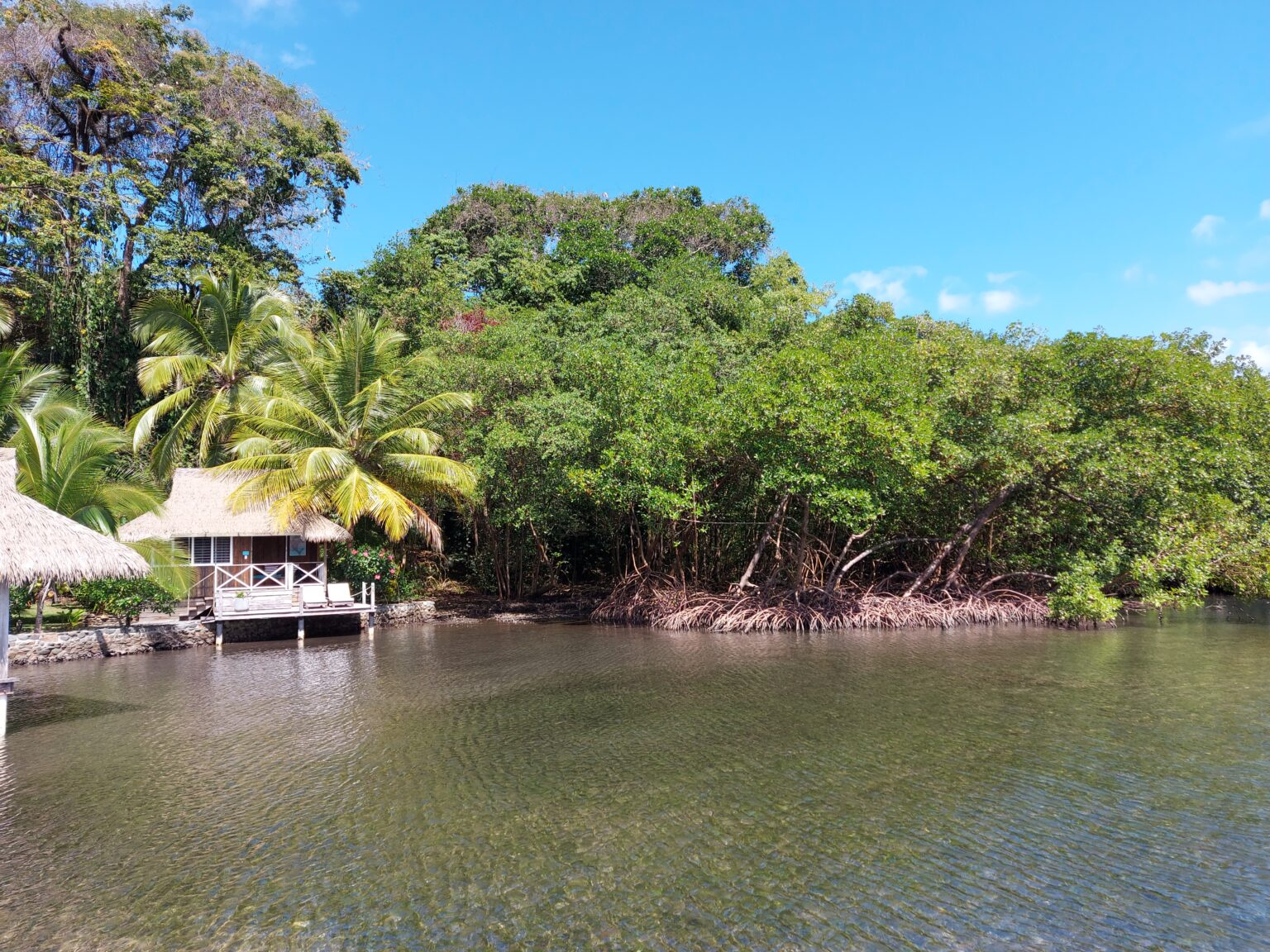 isla pastrores, bocas del toro