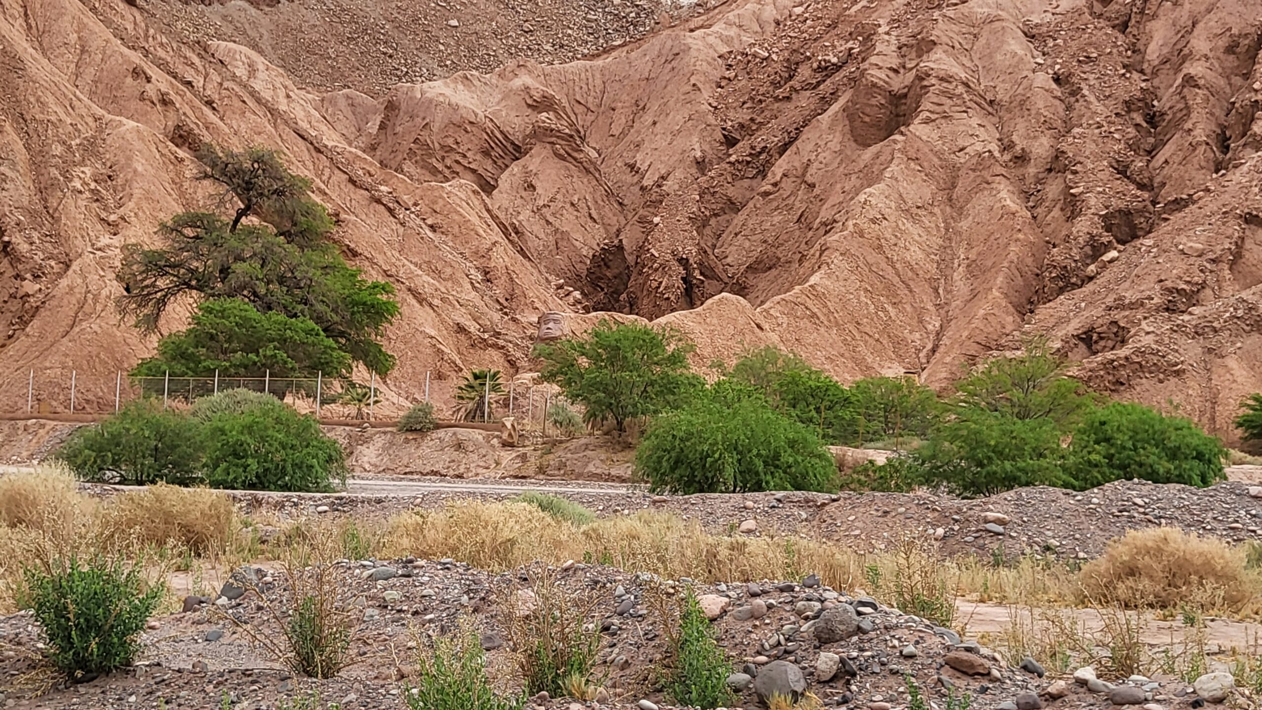 vallée de la lune, chili