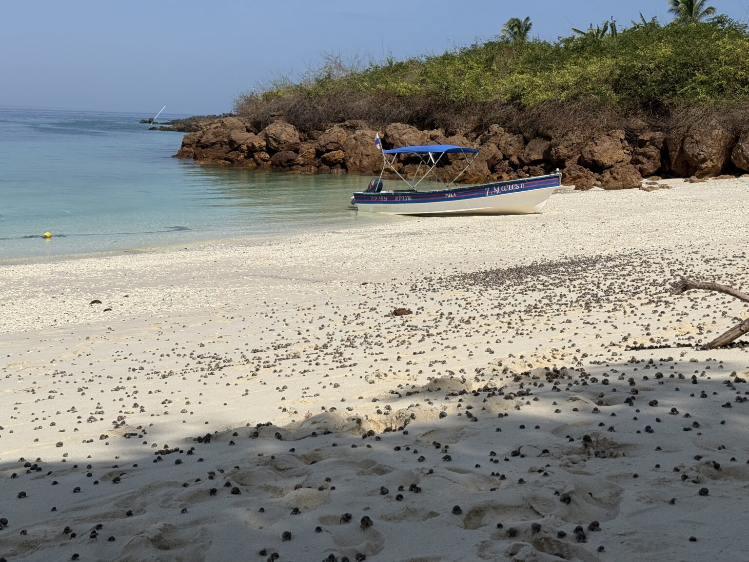 isla iguana, panama